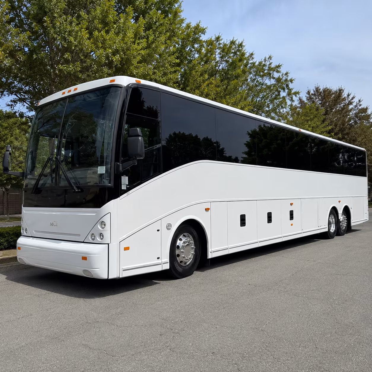 one search for your edina group trip