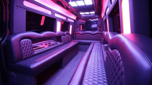 edina sprinter limo rental rental